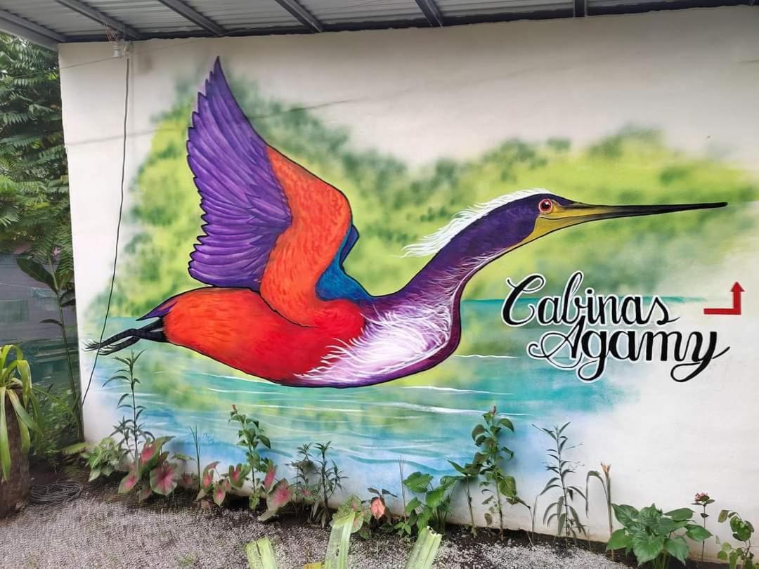 Cabinas Agamy Tortuguero Exterior foto