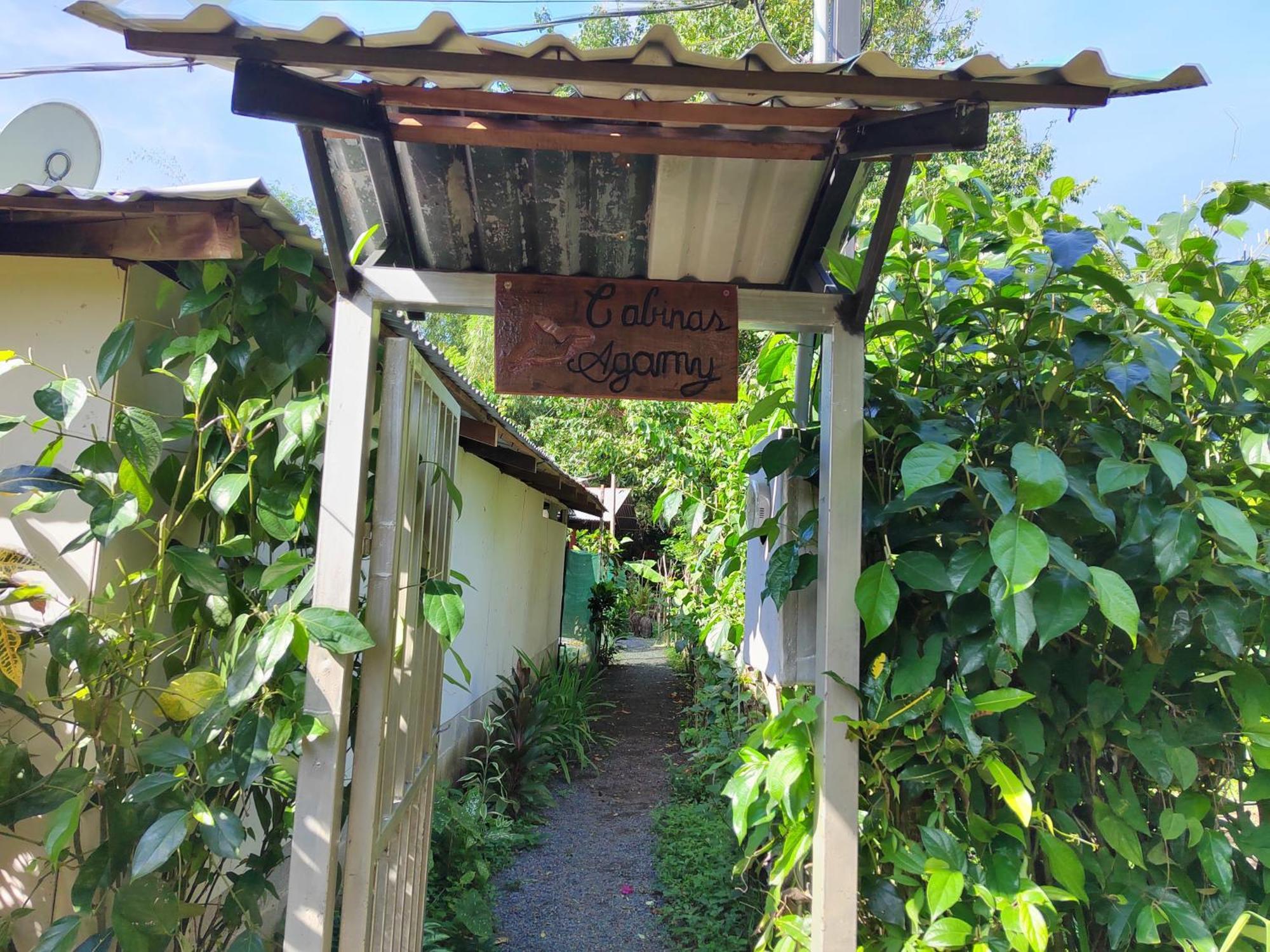 Cabinas Agamy Tortuguero Exterior foto